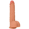 Hidden Desire Gode Inferno Orso 19 x 4.5cm